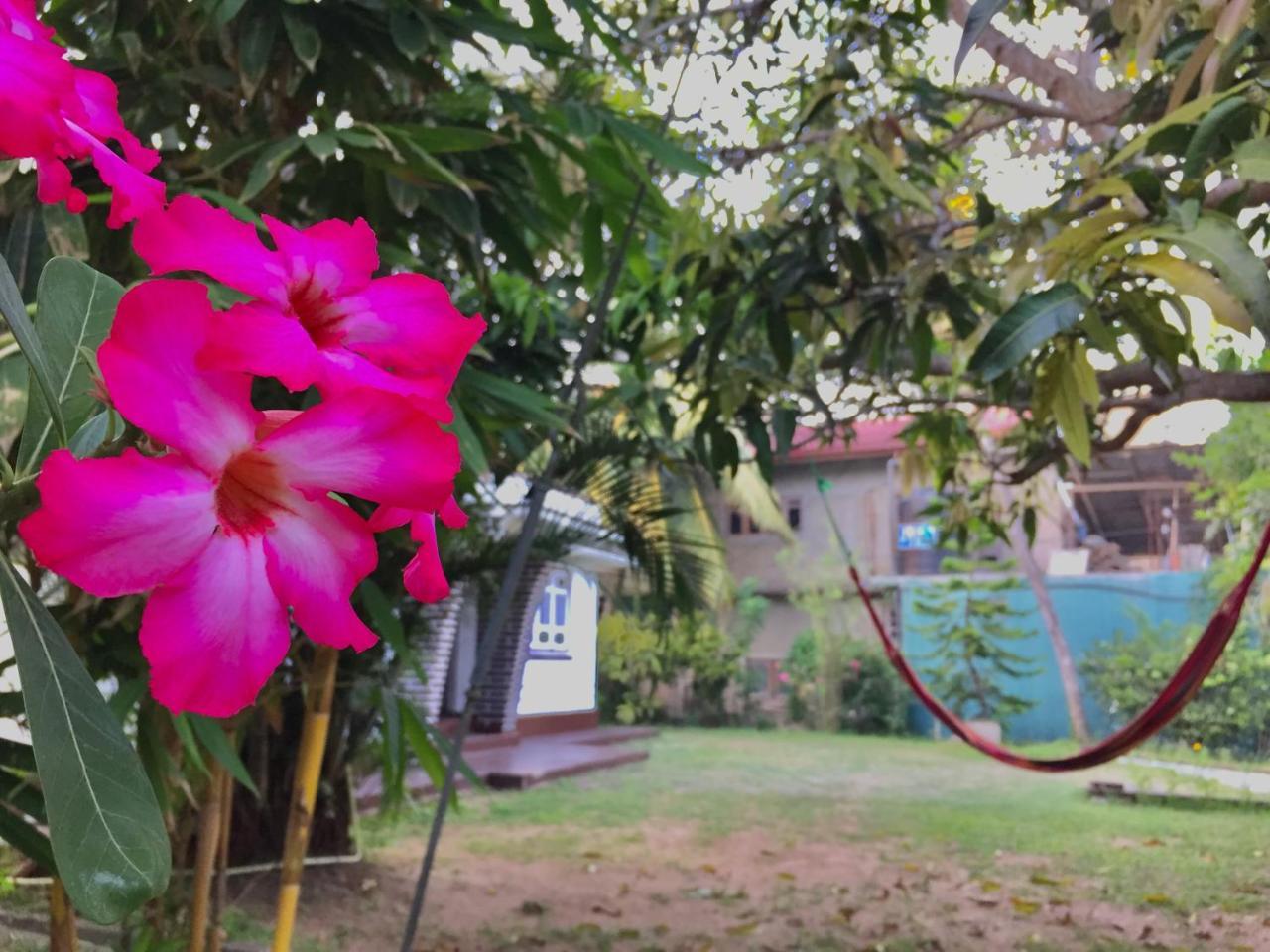Cozy Cottage-tangalle *